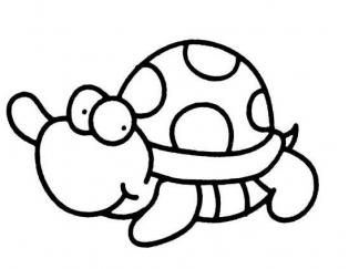 乌龟34