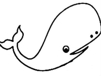 鲸鱼3