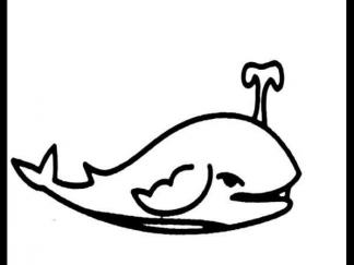 鲸鱼32