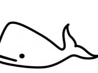 鲸鱼38