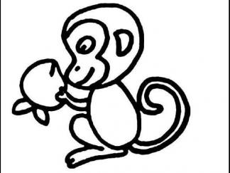 猴子41