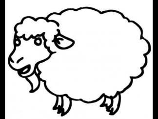 绵羊2