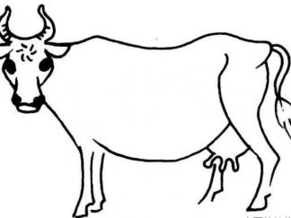 牛36