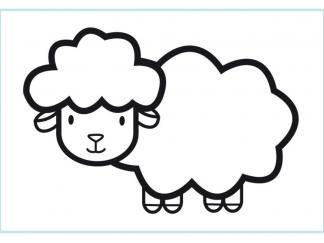 绵羊9