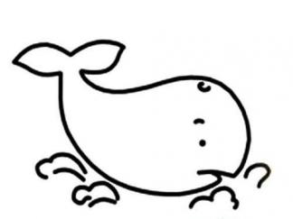 鲸鱼315