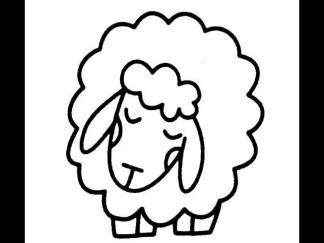 绵羊3
