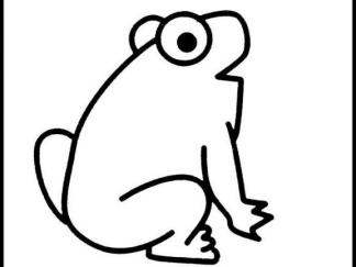 青蛙613