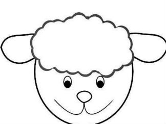 羊3