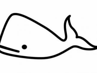 鲸鱼56