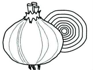 洋葱2