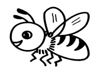 蜜蜂66