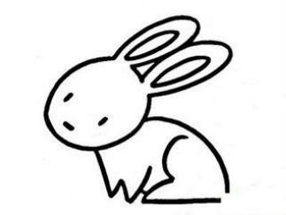 兔子16