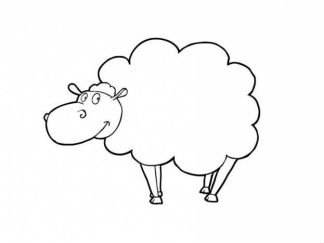 绵羊4