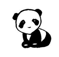 熊猫54