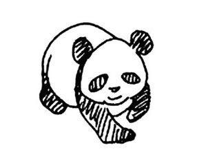 熊猫511