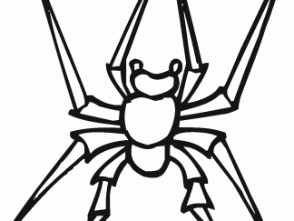 蜘蛛62
