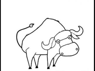 卡通水牛1