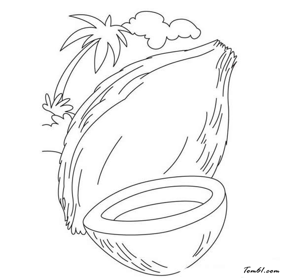 椰子2