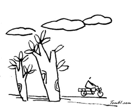 夏日的郊外风景