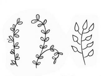 花草叶子7