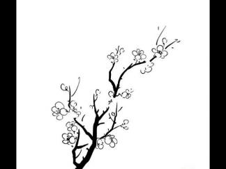 梅花81