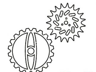 齿轮5