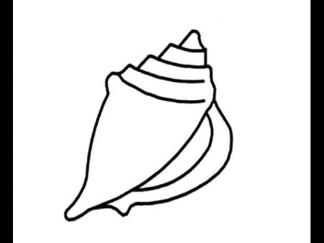 海螺1