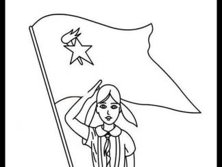 向少先队队旗敬礼3