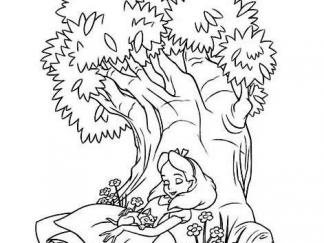 大树下休息睡觉的人