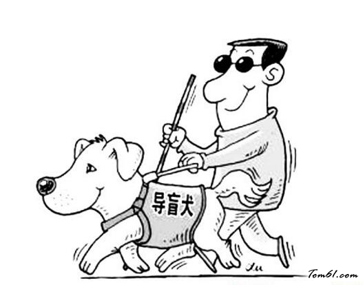 导盲犬和盲人