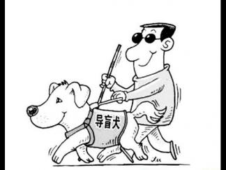 导盲犬和盲人4