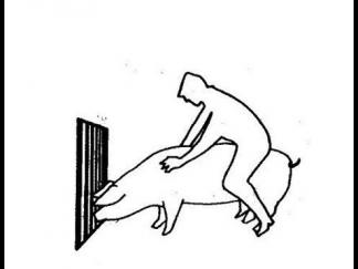 人骑猪1