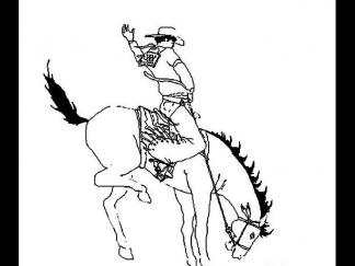 西部牛仔驯马驯牛1