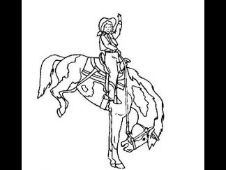 西部牛仔驯马驯牛3