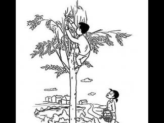 小孩爬树3