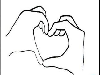 爱心手势2