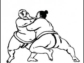 日本相扑4