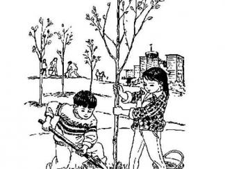 小学生人物植树2