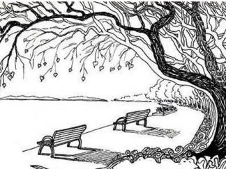 公园的一角风景3