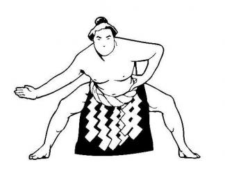 日本相扑9