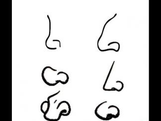 人物鼻子5