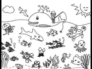 美丽的海洋世界3