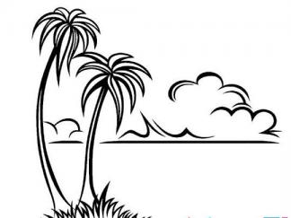海滩棕榈树3