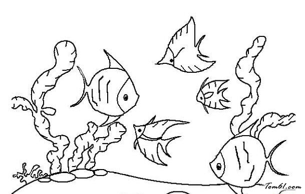 神奇的海底世界