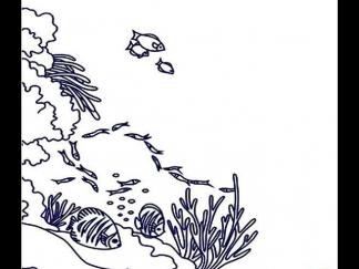 神奇的海底世界2