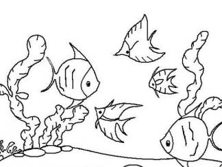 神奇的海底世界4