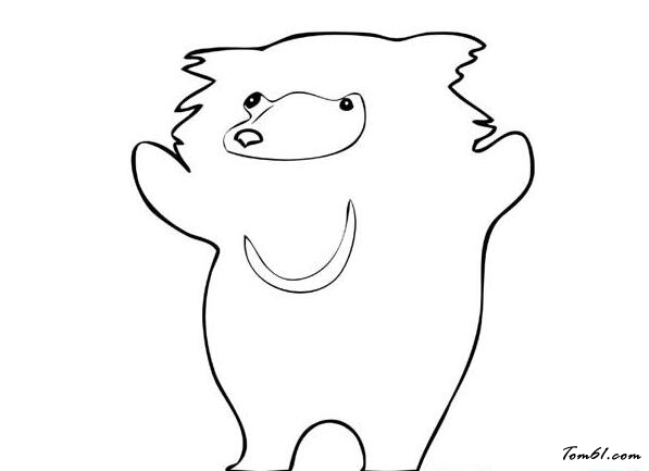 马来熊(太阳熊)