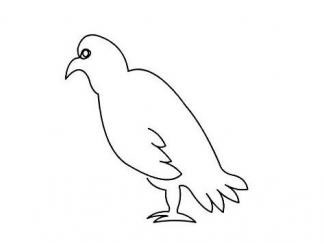 一笔画鸟2