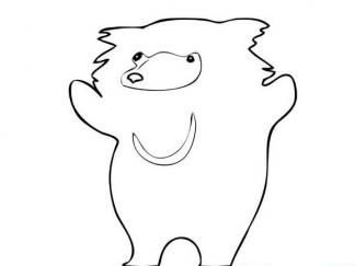 马来熊(太阳熊)8