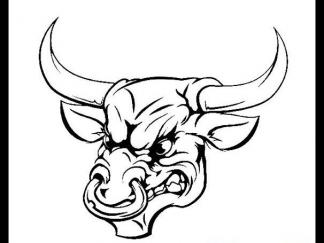 公牛的牛头标志2